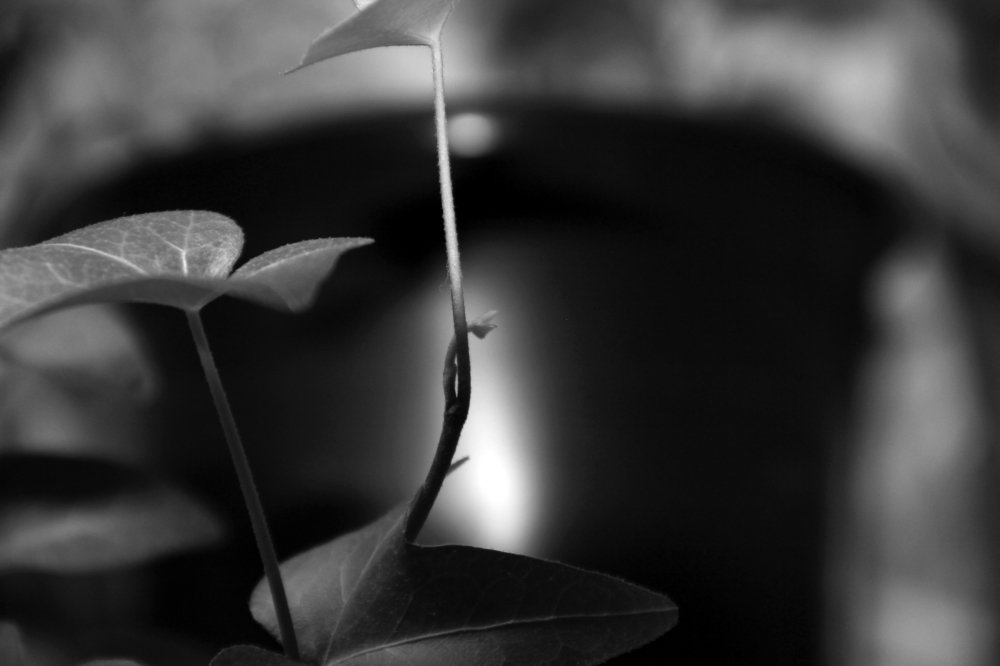 Photograph by Герман Штерн