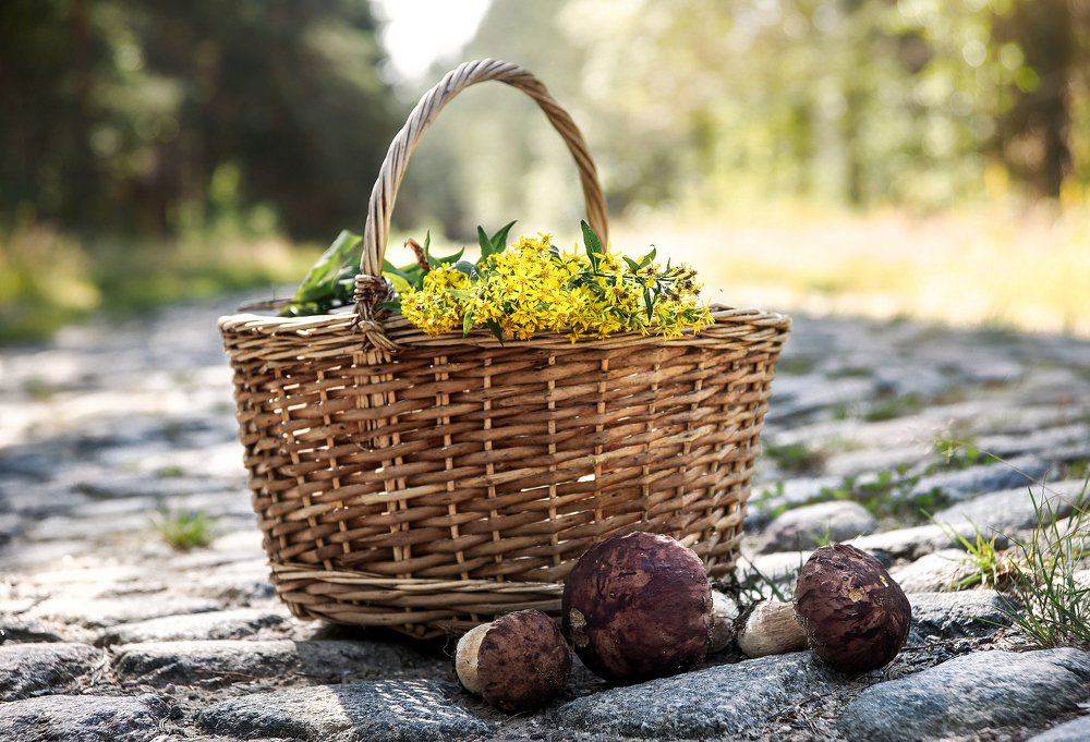 Photograph by Юлия Яровая