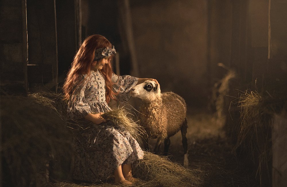 Василиса и барашка