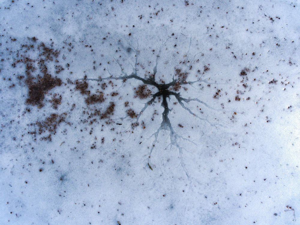 Awakening under the Surface