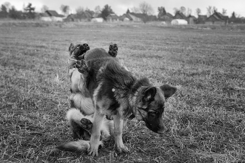 Photograph by Алёна Жаак