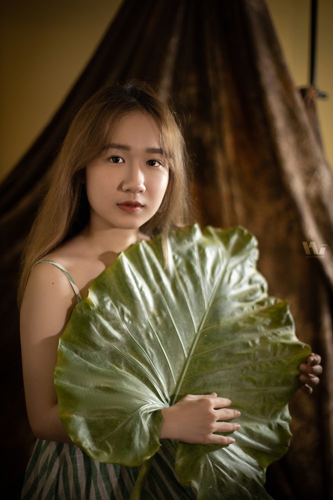 Photograph by Phong Đặng
