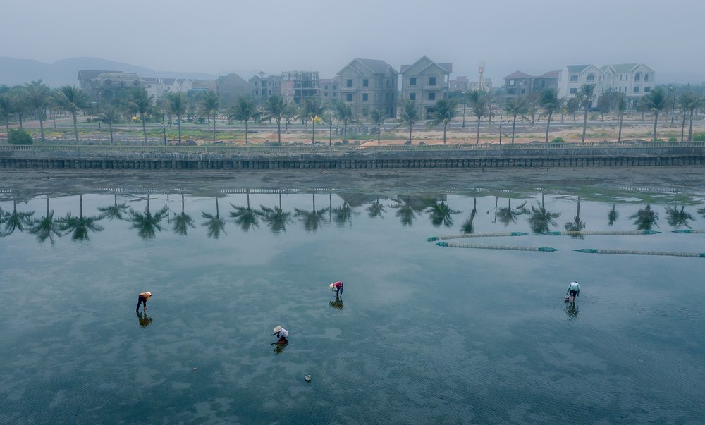 Фотография автора Nguyen Tien Trinh