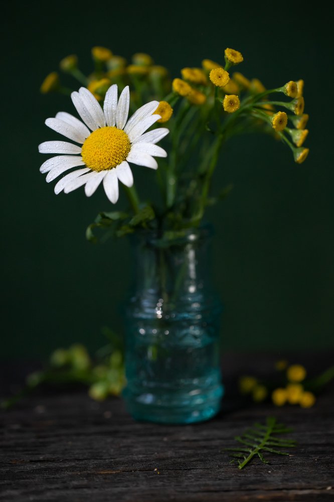 Photograph by Сергей Романченко