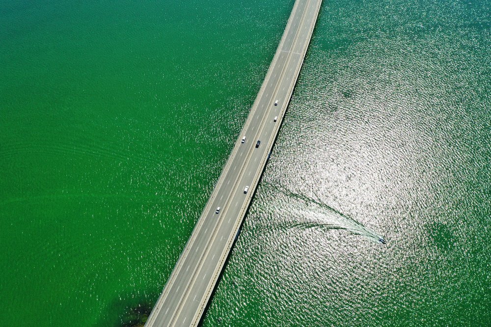 В окружении белых