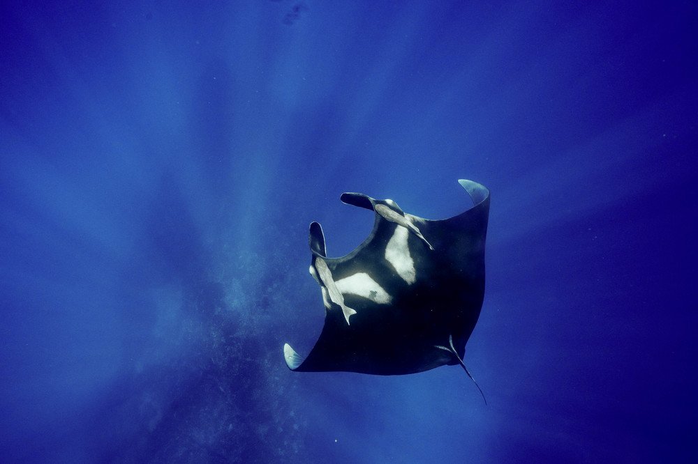 Photograph by Juli HG