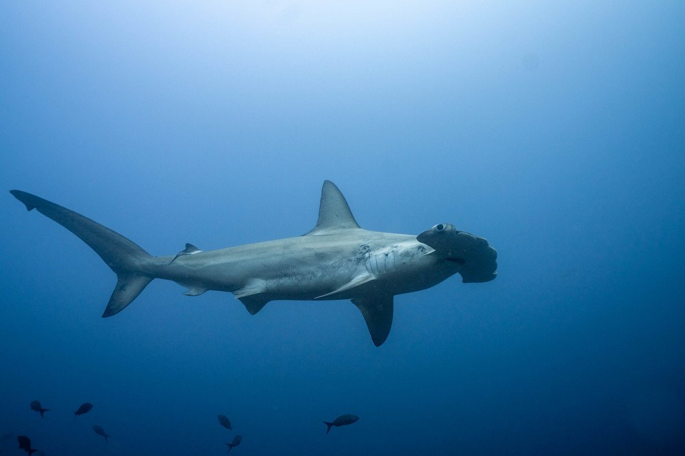 Photograph by Juli HG