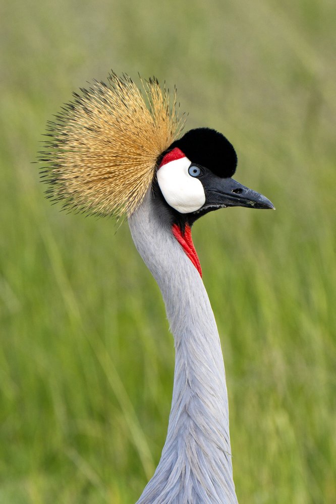 Photograph by EELIN Chan