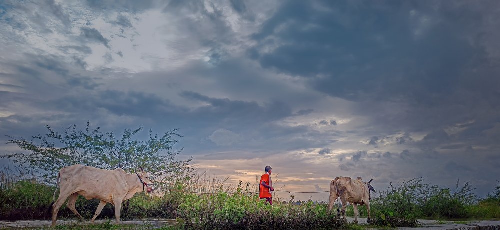 Photograph by Pavan Golla