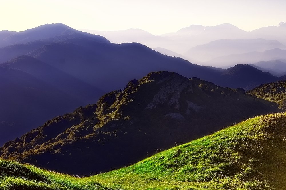 Photograph by Roman Popov