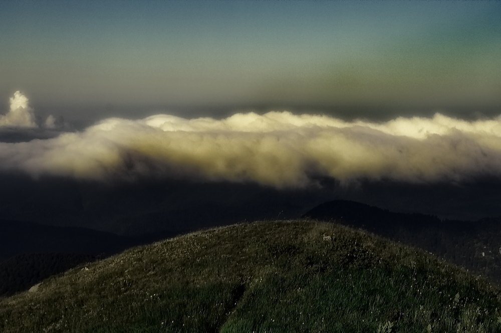 Photograph by Roman Popov