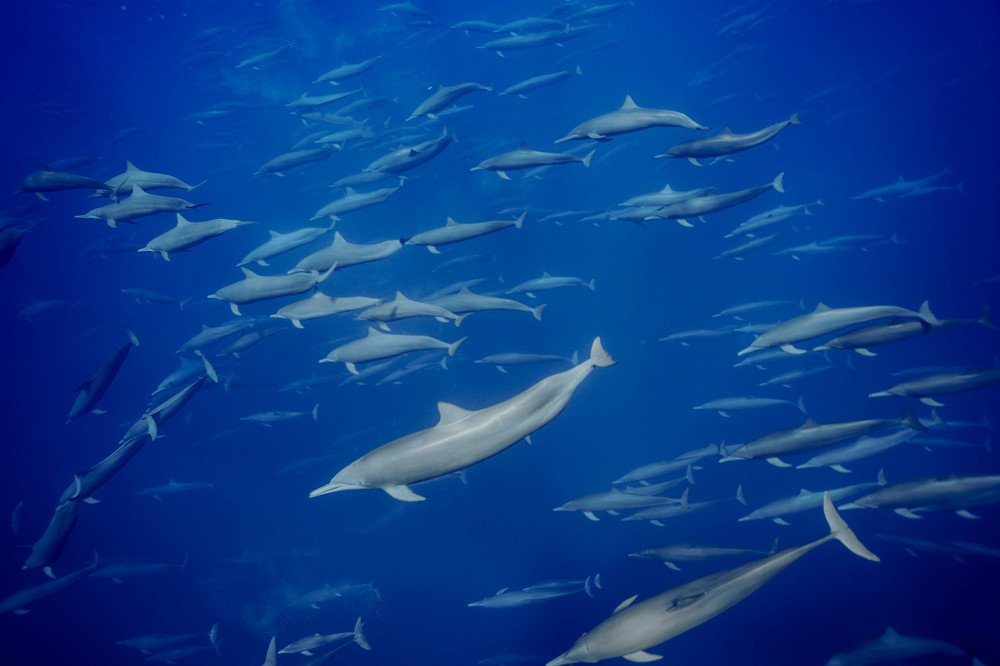 Photograph by Juli HG