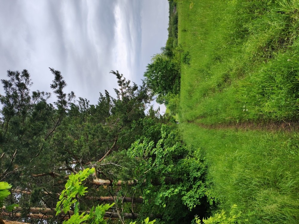 Photograph by Евгений Артемьев