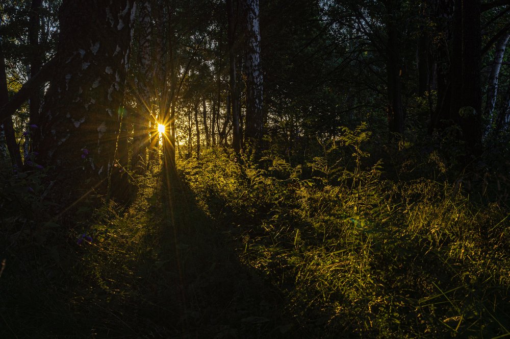 Photograph by Pavel Gusev