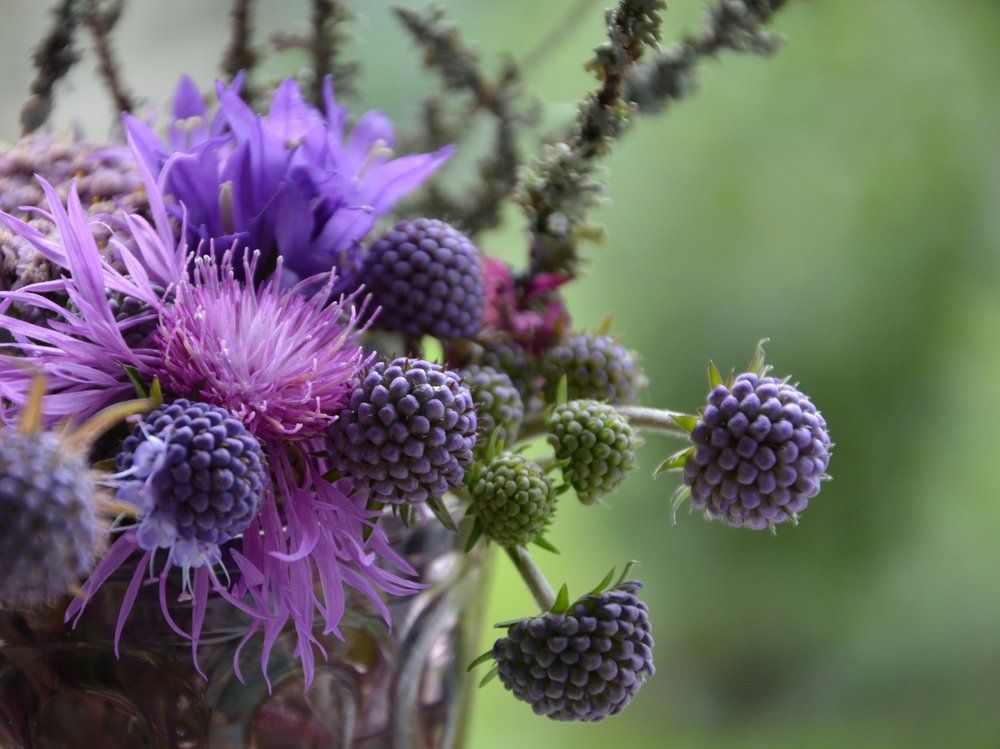 Дикий Лесной Букет.