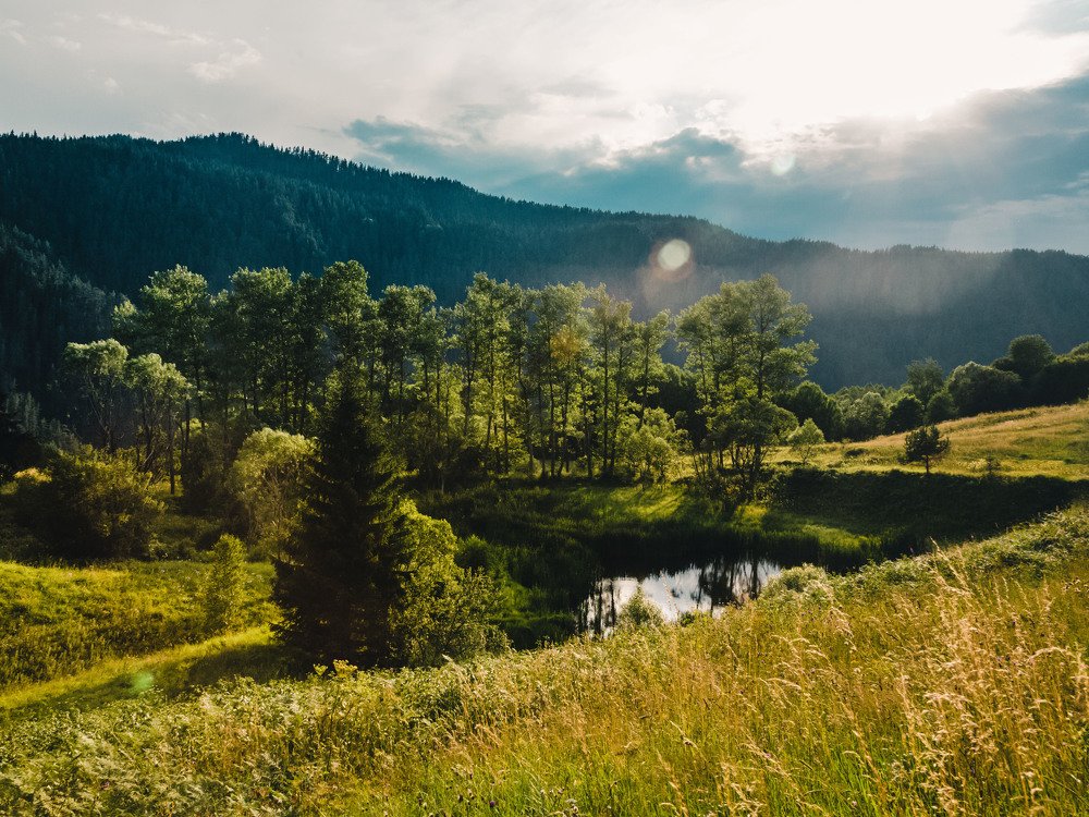 Фотография автора Ivelina Petkova