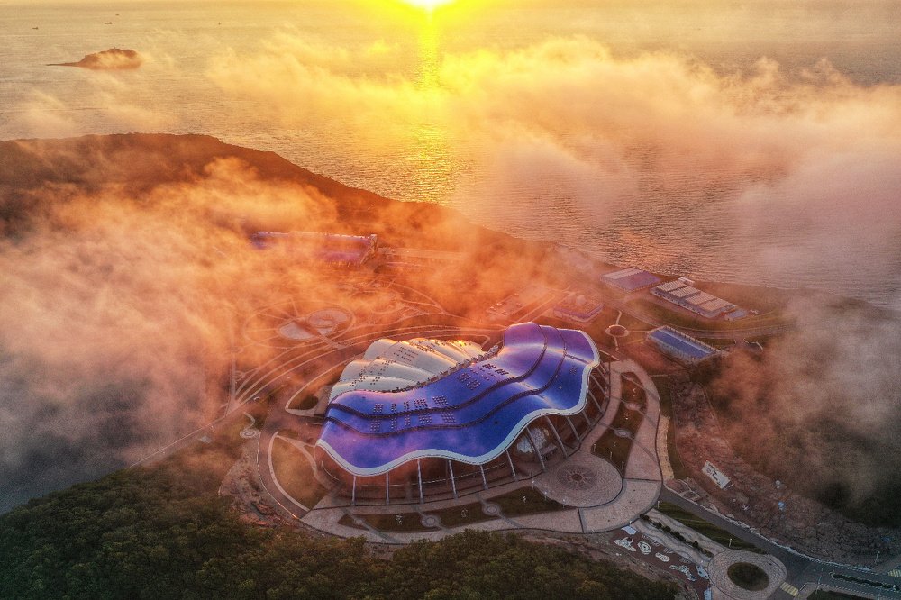 Гребешок в тумане