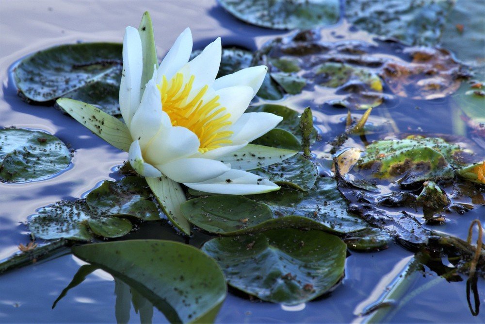 Фотография автора Tomislav Mihelic