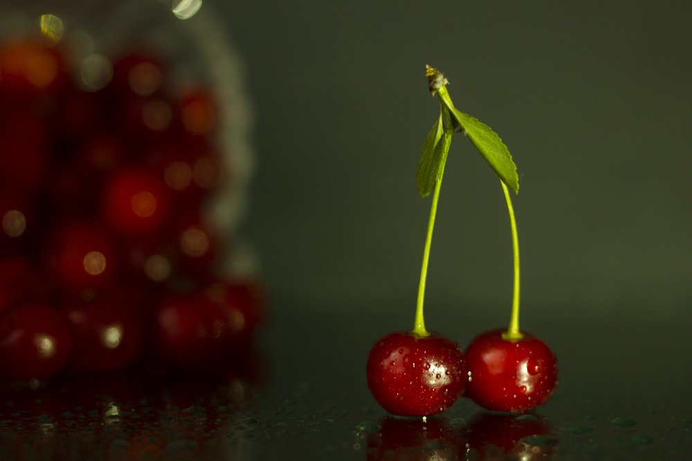 Photograph by Anna Gapanovich