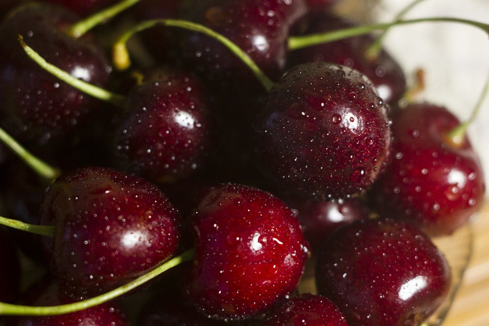 Photograph by Anna Gapanovich