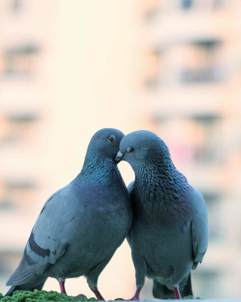 Photograph by Sumit Singh