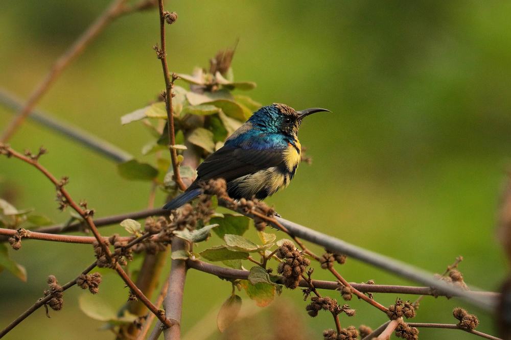 Photograph by Sumit Singh