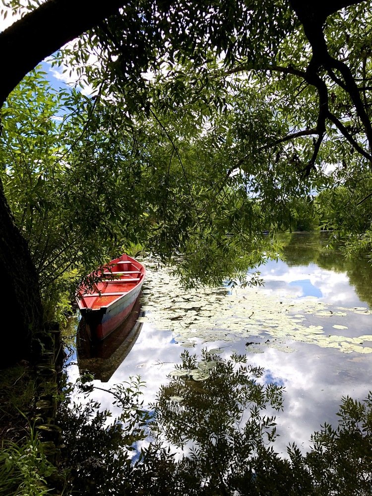 Красная лодочка любви