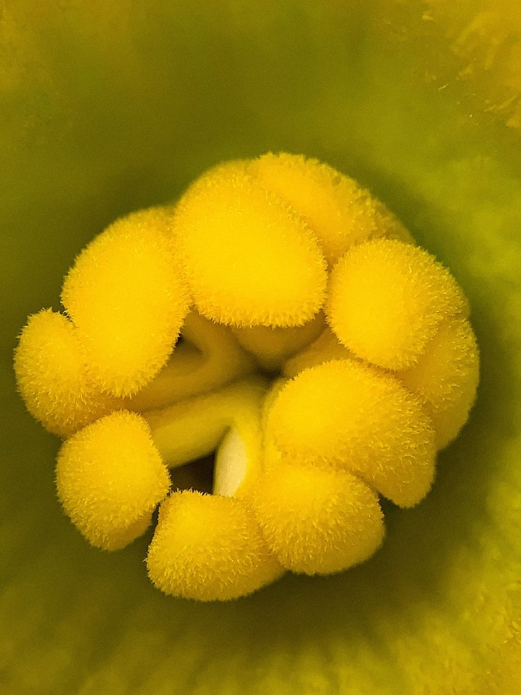 Photograph by Tatyana Belova