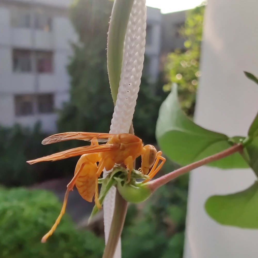 Photograph by vivek Kumar