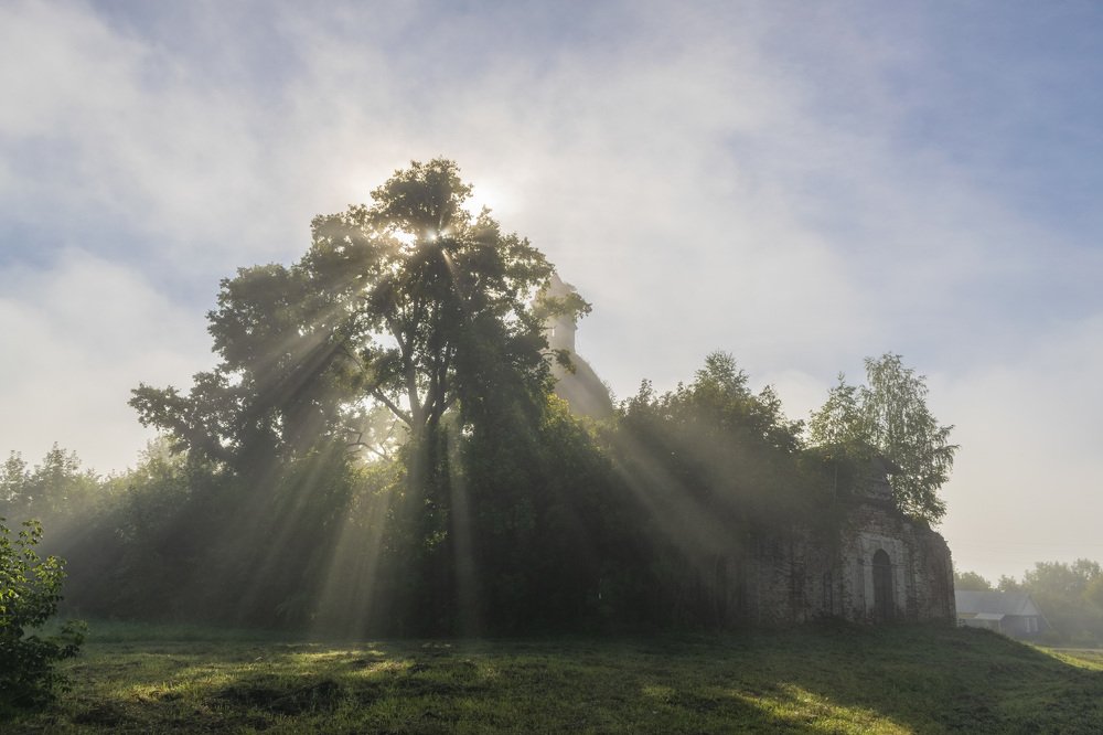 Фотография автора Галина Луценко