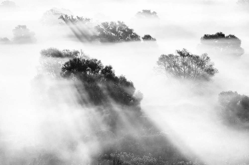 Фотография автора Юрий Сорокин