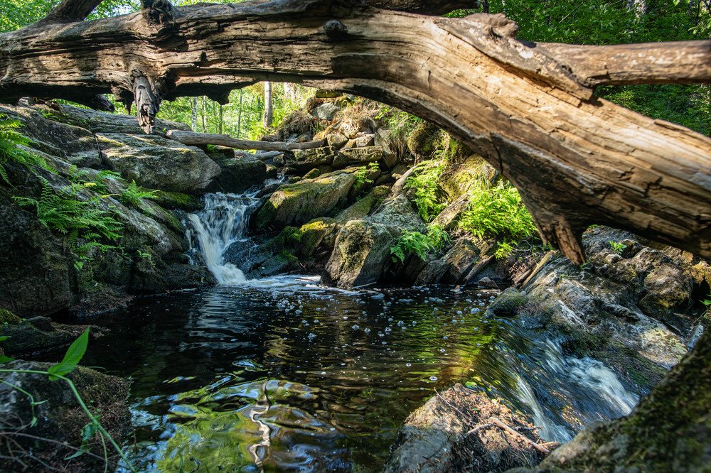 Photograph by Danil Husainov