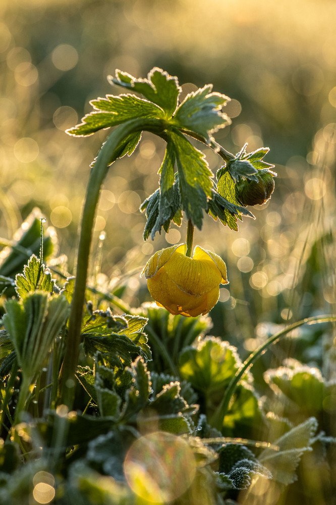 Photograph by Danil Husainov