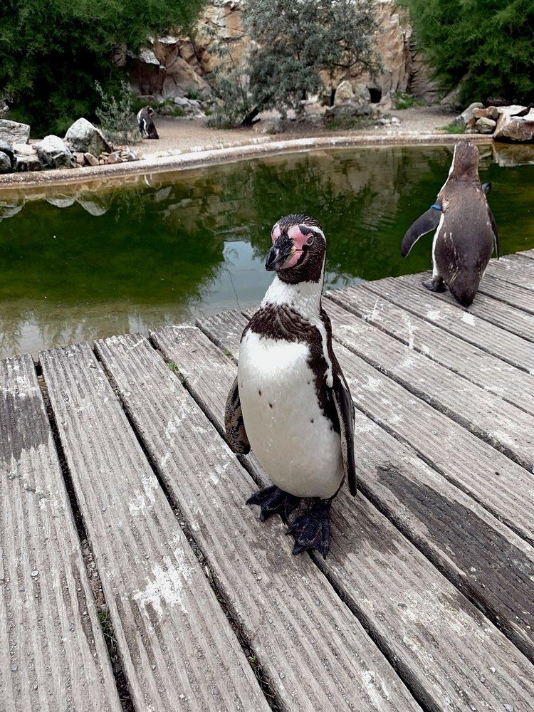 Photograph by Марина Дикманн