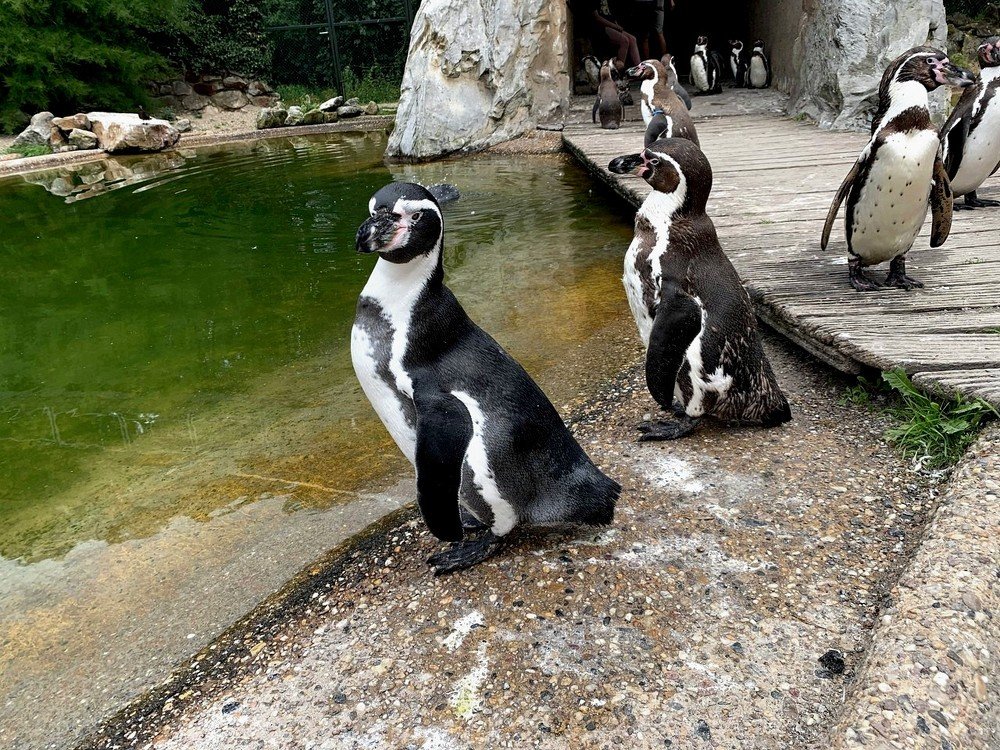 Photograph by Марина Дикманн