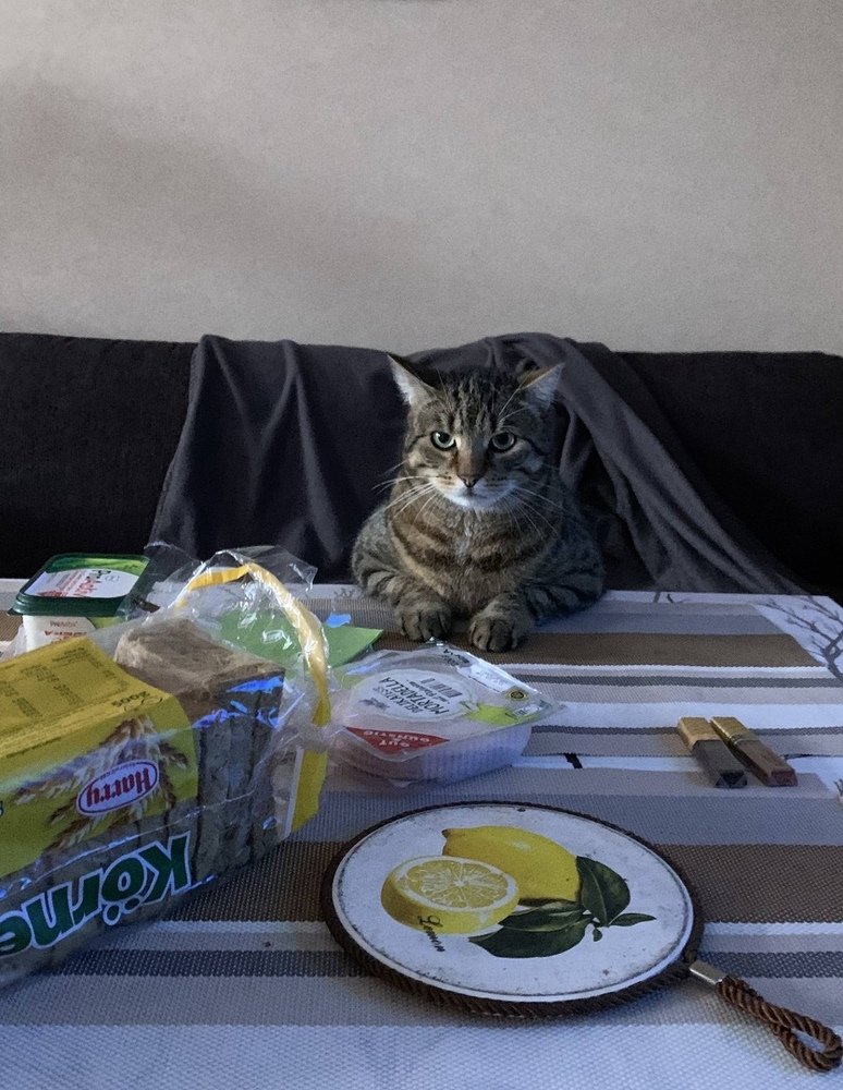 Photograph by Марина Дикманн