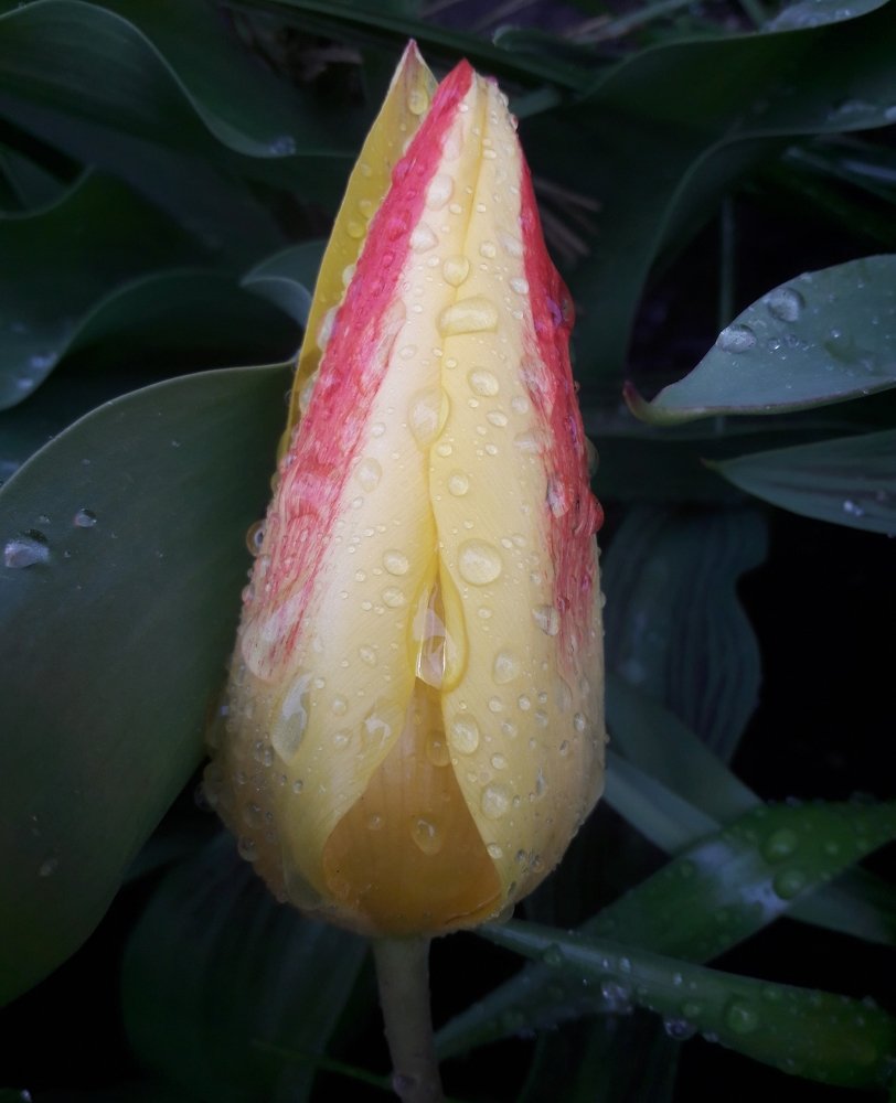 Photograph by Марина Мирошина