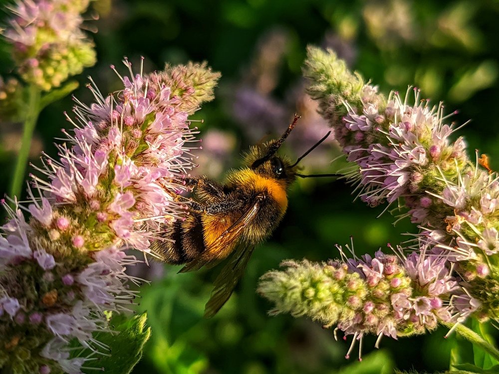Photograph by Денис Пономарёв