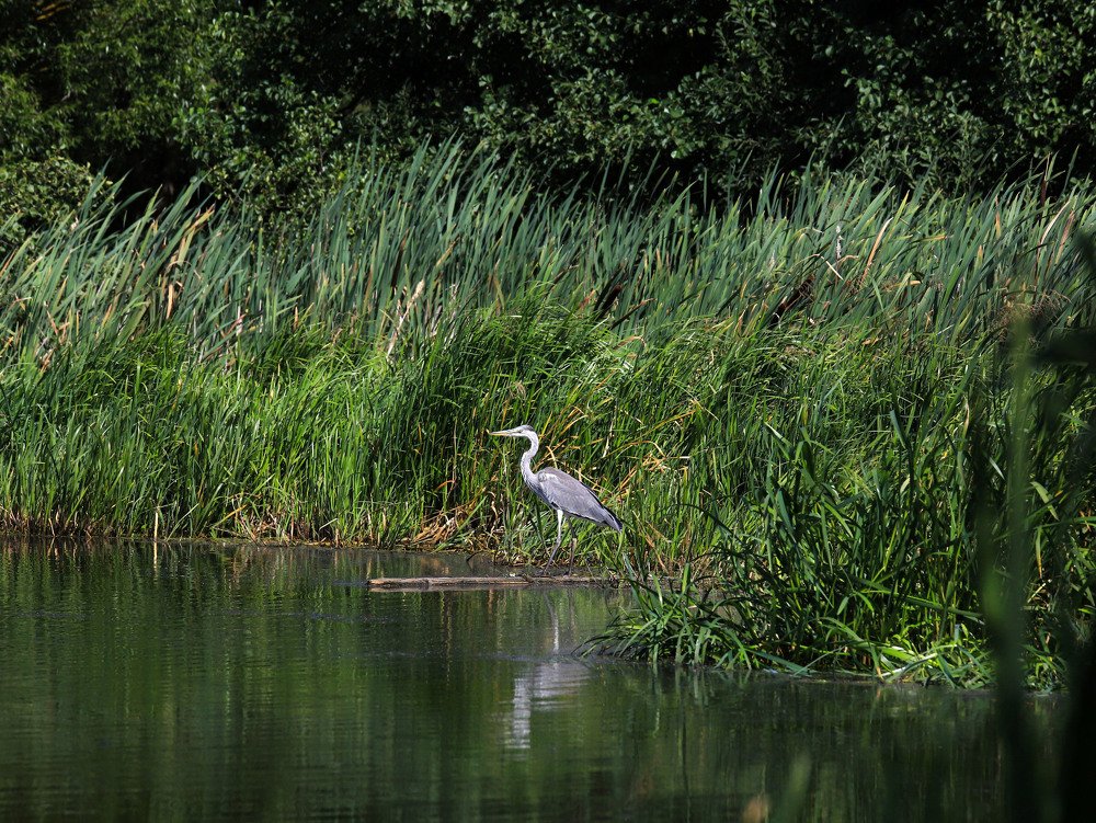 Photograph by Виктория Кузина