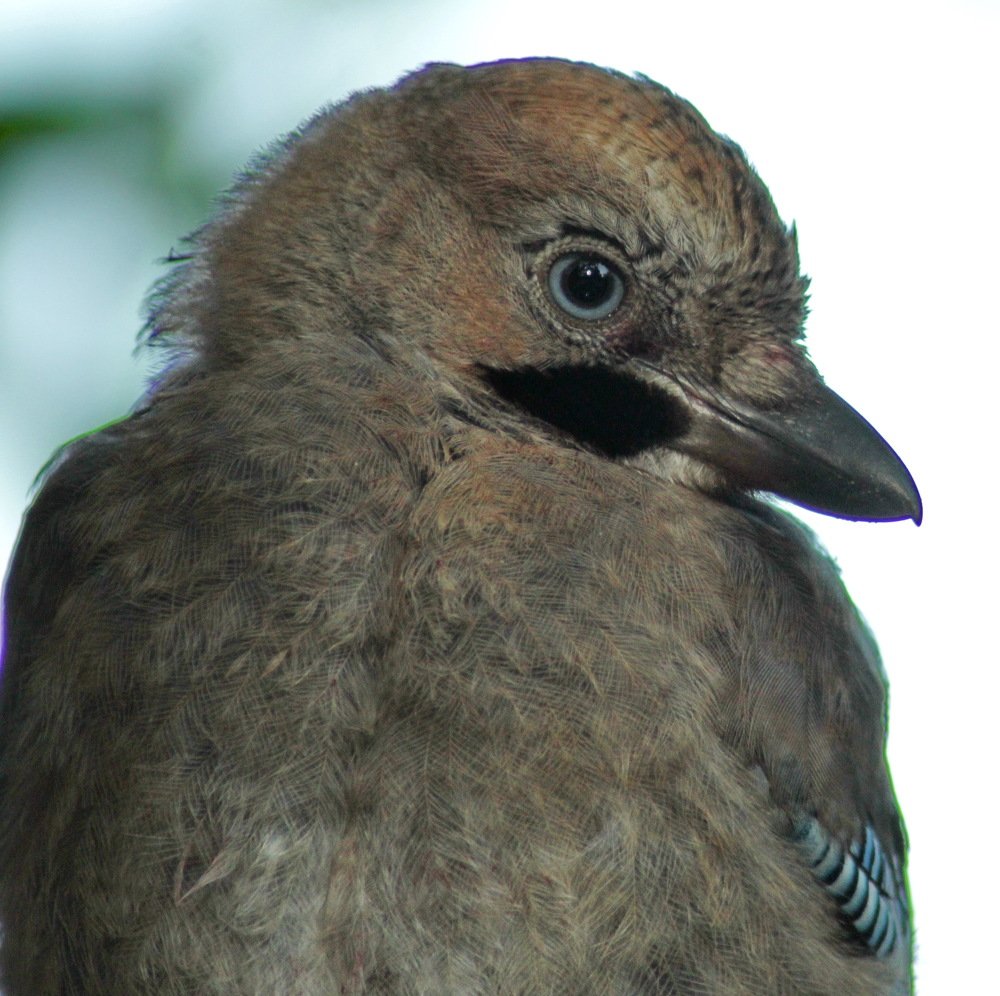 Photograph by Николай Николаевич Леухин