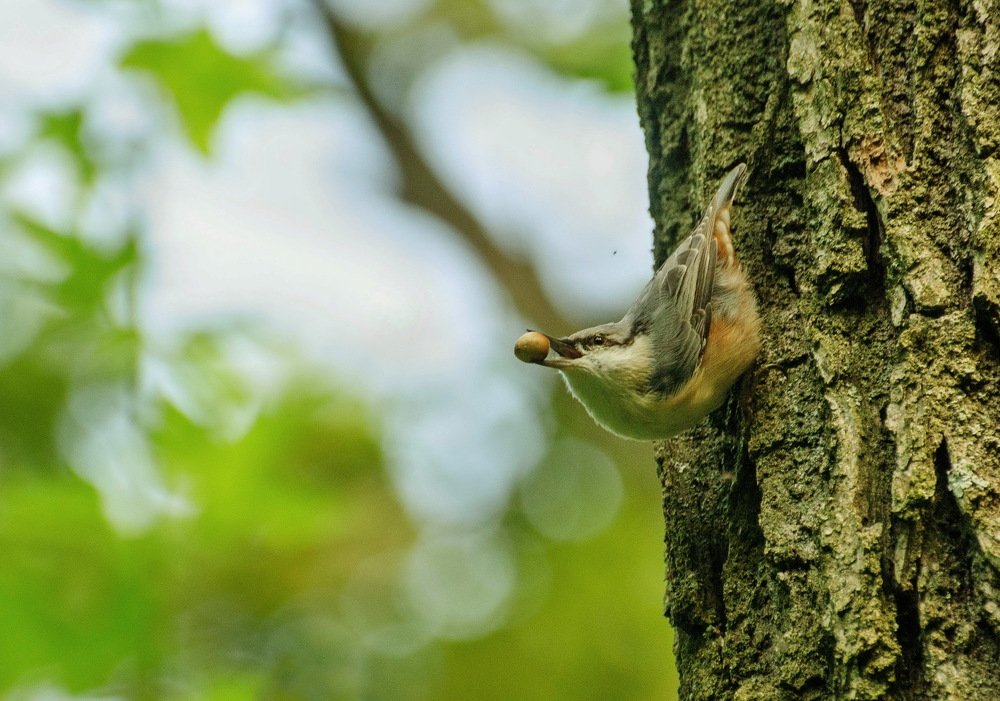 Photograph by Мария Кузьмина