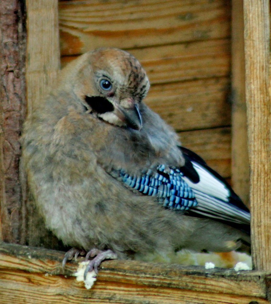 Photograph by Николай Николаевич Леухин