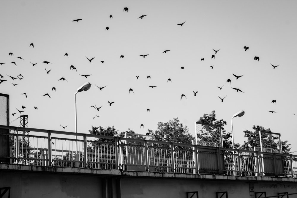 Photograph by Наталья Кулемина