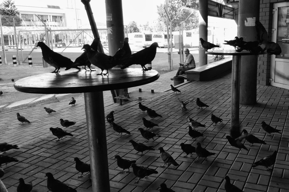 Photograph by Наталья Кулемина