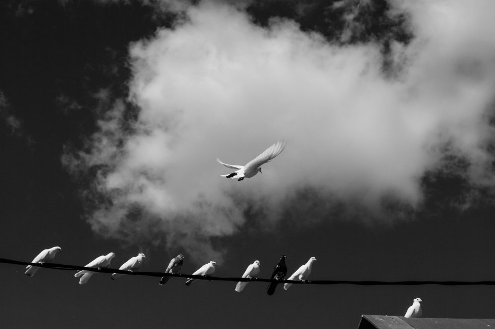 Photograph by Наталья Кулемина