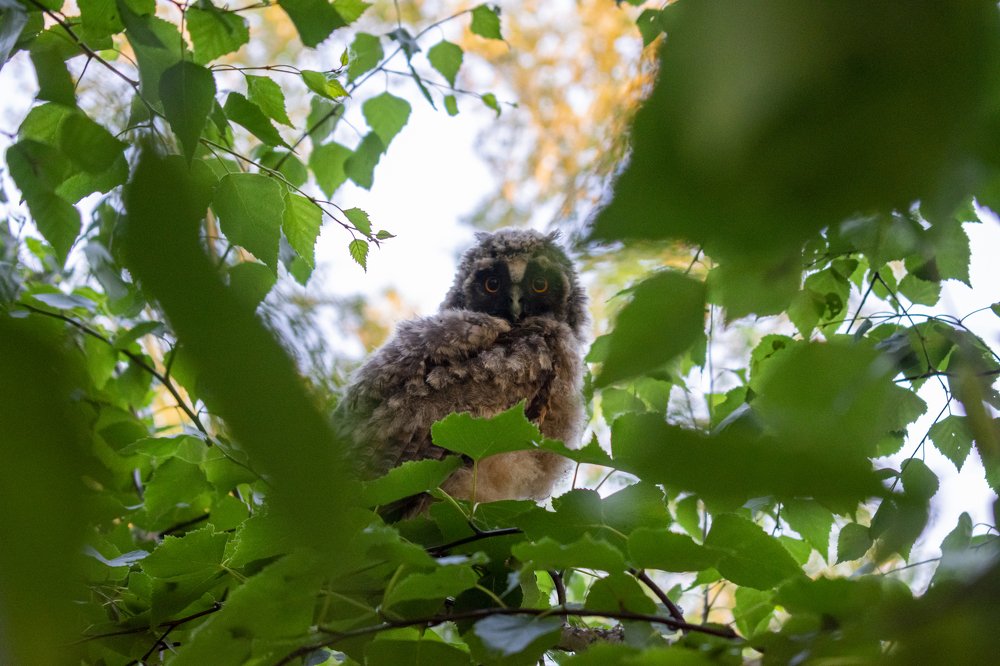 Photograph by Амир Гильмутдинов