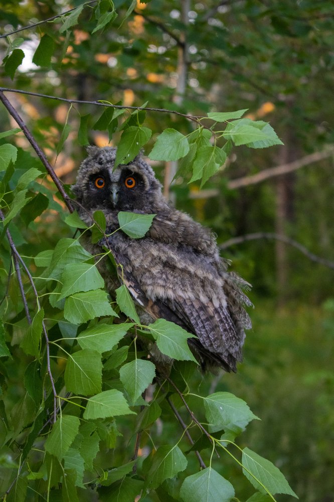 Photograph by Амир Гильмутдинов