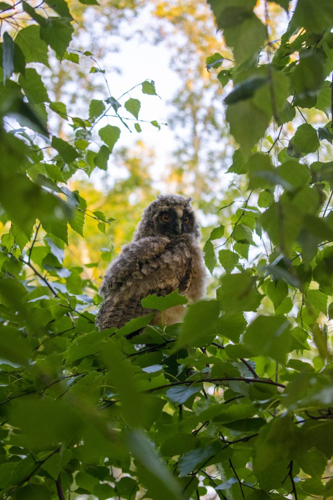 Photograph by Амир Гильмутдинов