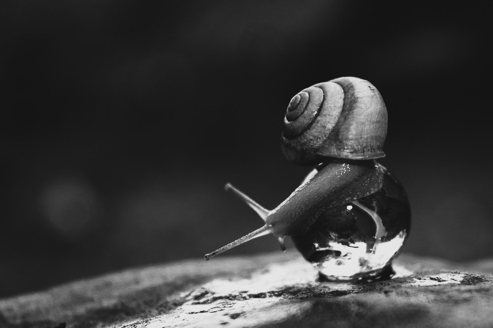 Photograph by Moody B Gaho