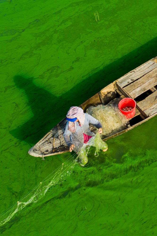 Photograph by Trung Luong